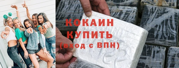 дживик Кинешма