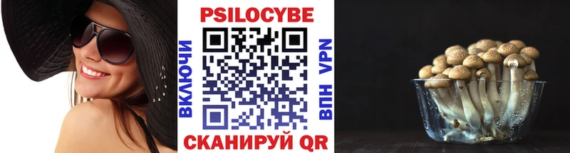 Галлюциногенные грибы мицелий Новокубанск