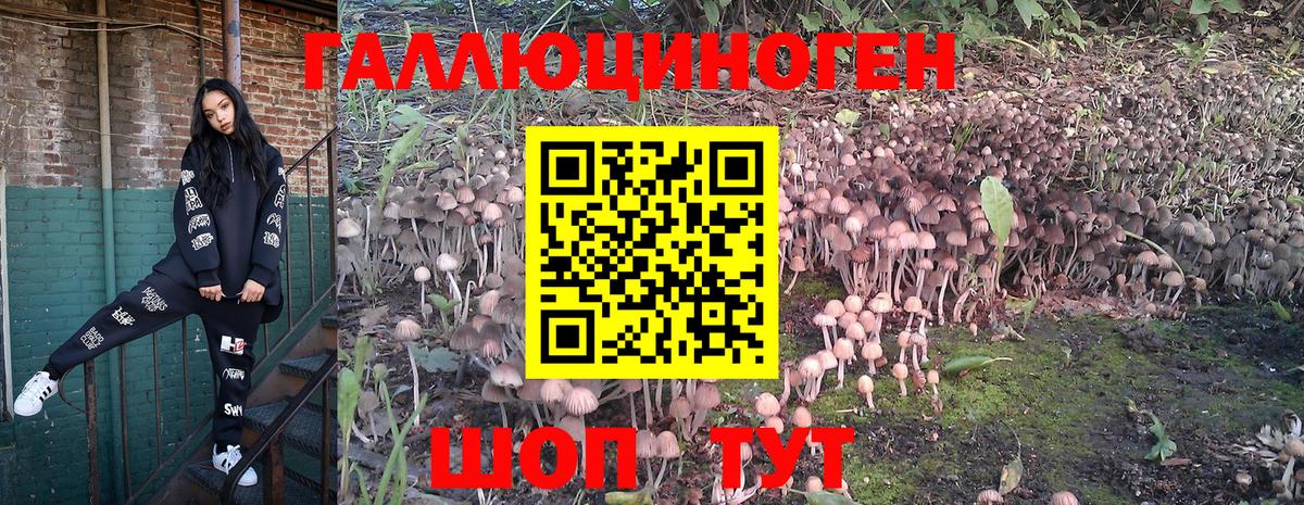 Галлюциногенные грибы мицелий Новокубанск
